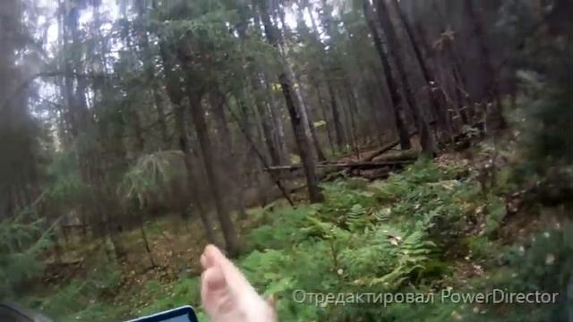 Поиск УЖД в лесу, или целуйте парни рельсы)) смотреть онлайн