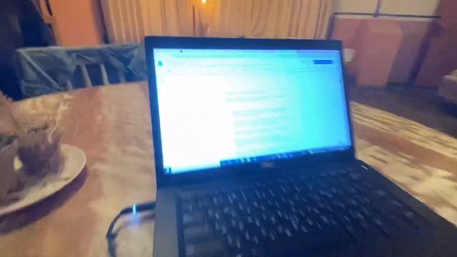 Бесплатная платформа с дружелюбным интерфейсом для создания сайта смотреть онлайн