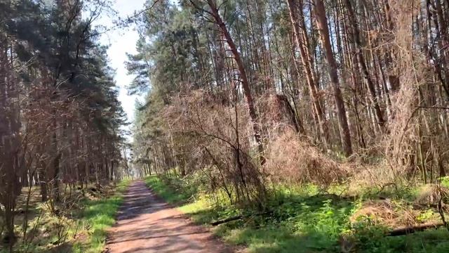 Создание финансового капитала это ХОББИ! смотреть онлайн