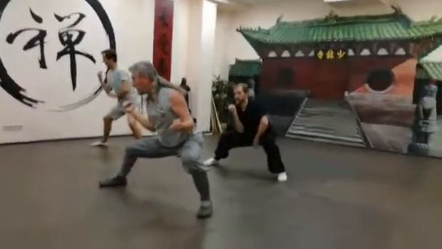 Буквально пошаговое разучивание таолу. Шаолиньцюань.