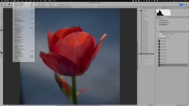 AI Focus Stacking | How good is it? Luminar Neo compared to Photoshop Auto Blend. смотреть онлайн