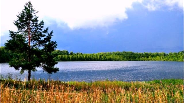 Стихи Татьяны Гришиной "С Днем России". смотреть онлайн