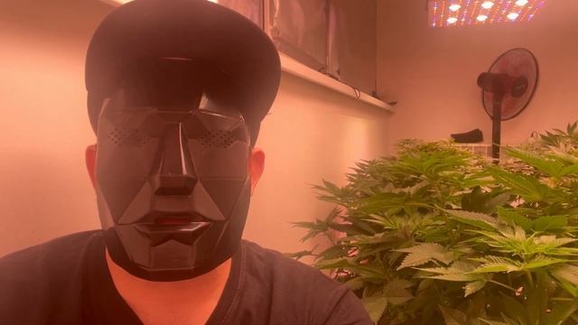 Популярные вопросы о системе Autopot (Автопот) смотреть онлайн