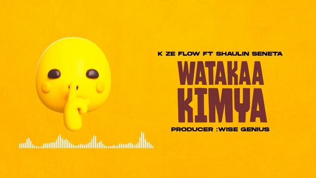 K ze flow ft shaulin Seneta--_Watakaa kimya смотреть онлайн