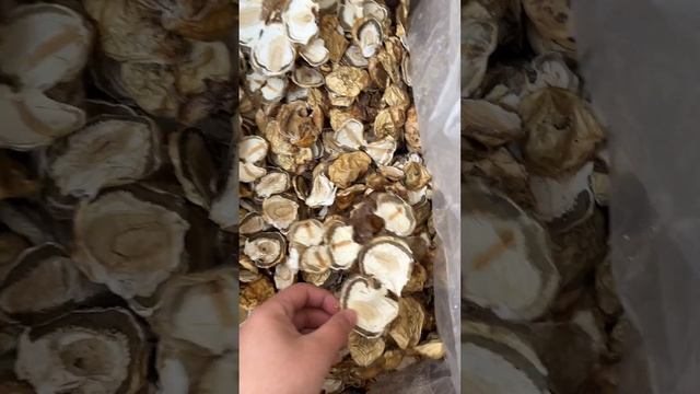 Весёлка (Цельный) / Высушенное яйцо phallus impudicus / witch egg/ Veselka смотреть онлайн