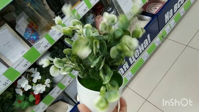 Посмотрите какую красоту навезли в Фикс прайс. смотреть онлайн