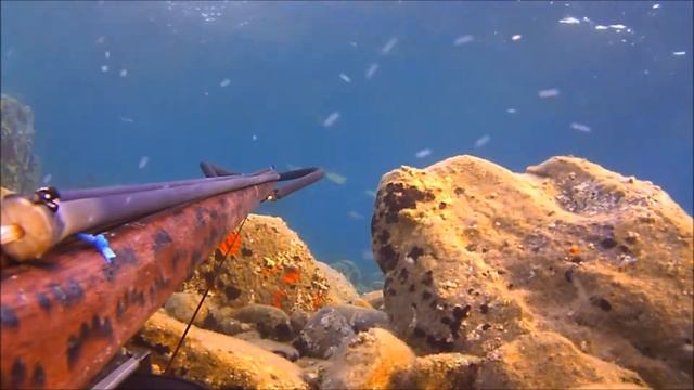ПОДВОДНАЯ ОХОТА! SPEARFISHING!!!