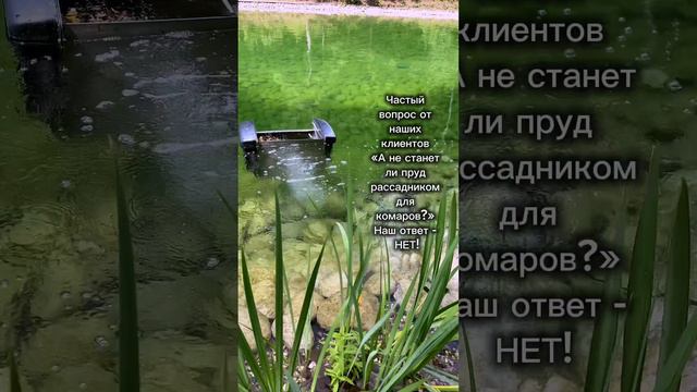 Комары и пруд - рассказываем в описании👇🏻 смотреть онлайн