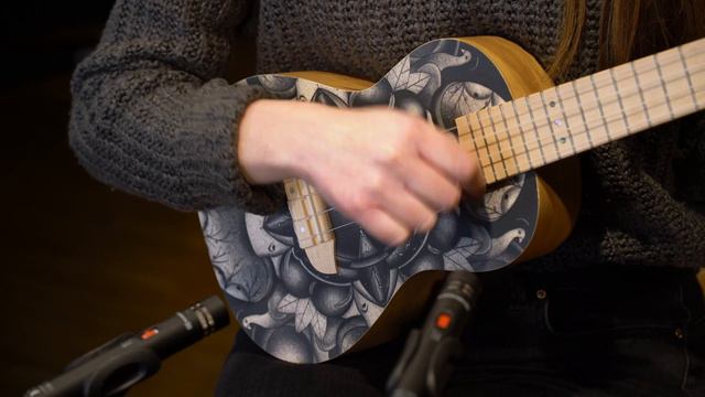 Art Series Concert Size Ukulele Birds by Ortega - Spruce Top - RUAR-BI смотреть онлайн