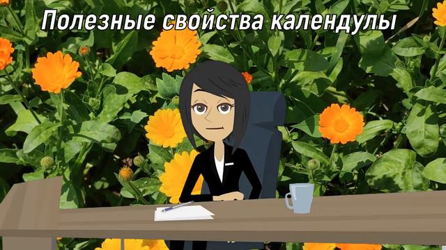 Полезные свойства календулы, о которых вы не знали! смотреть онлайн