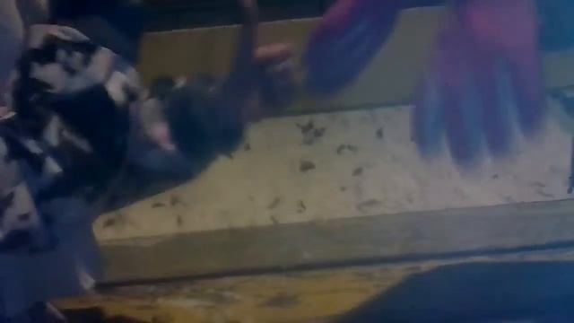 Как научится играть в дон дон дери смотреть онлайн