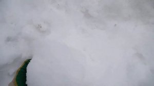 Соболь cummins. Регенерация сажевого фильтра кнопкой.