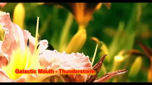 Нежная музыка без авторских прав. Музыка без авторских прав. Нежная музыка без АП. Без лицензии смотреть онлайн