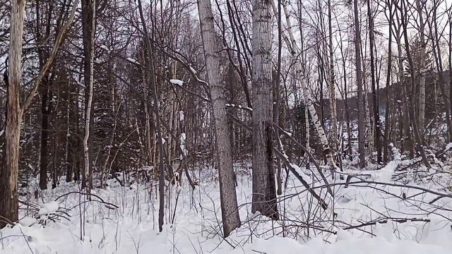 Купили КИТАЙСКИЙ разборный снегоход Sharmax snow SN-210 / Отзыв, обзор / смотреть онлайн