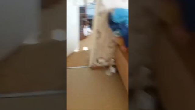 Одиночество Сука или ...... смотреть онлайн