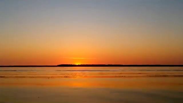 Рыба На Ходу