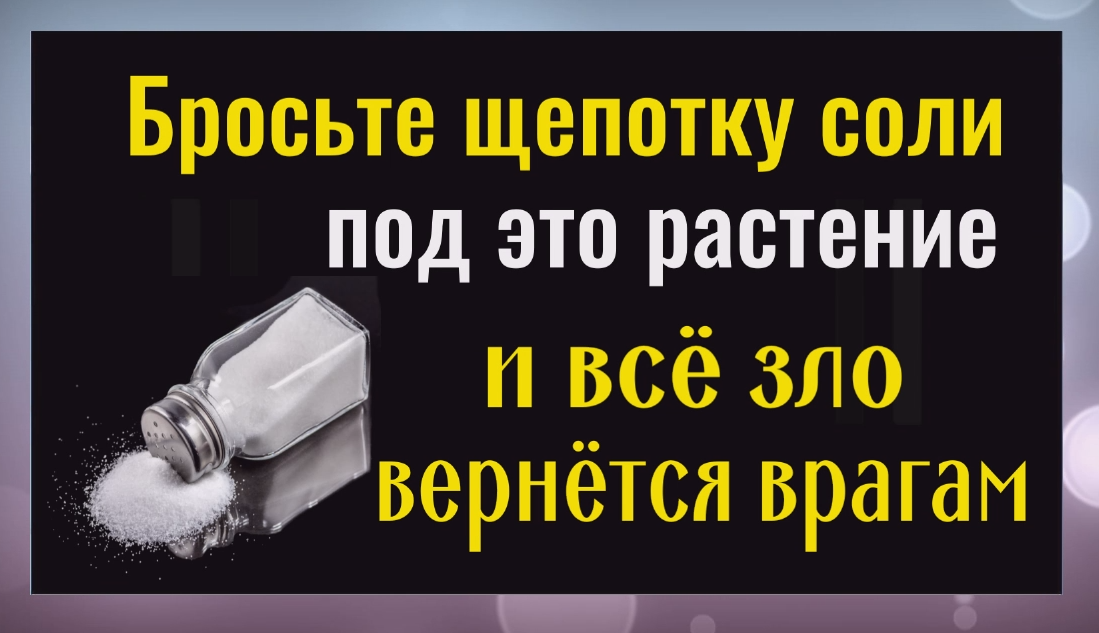 Бросьте щепотку соли под это растение и всё зло и порча вернется врагам смотреть онлайн