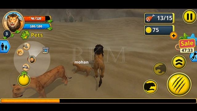 The Lion Simulator GamePlay - Animal Simulator Games | Wild Animals Games | Lion Family GamePlay смотреть онлайн