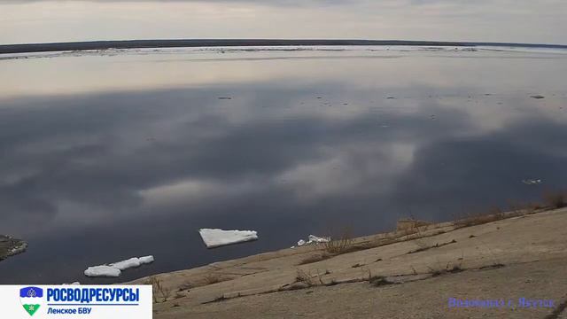 Онлайн трансляция реки Лена в районе водозабора г. Якутска смотреть онлайн