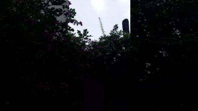 «Калеичи» означает «внутри крепости». смотреть онлайн