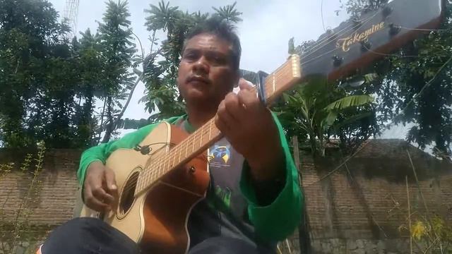 ode to my family the cranberries fingerstyle смотреть онлайн