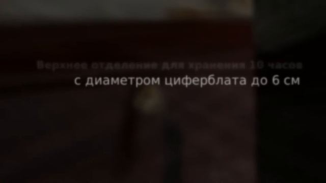 Шкатулка для хранения 16-и часов и украшений LuxeWood LW804-16-4 смотреть онлайн