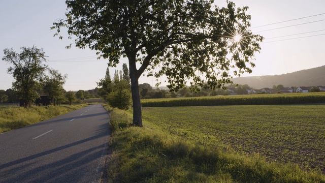 CANON EOS R5 - 8k RAW - Cinema DCI // Sample Videos смотреть онлайн