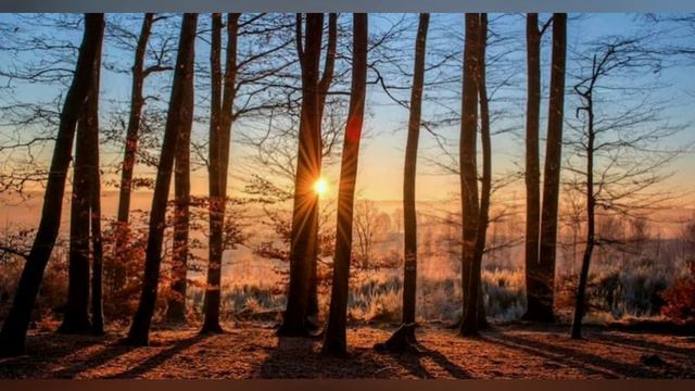 ALLAHU AKBAR/АЛЛАХ ВЕЛИК/الله أكبر