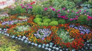 Подзимний посев многолетников. Какие цветы можно посеять под зиму. Стратификация