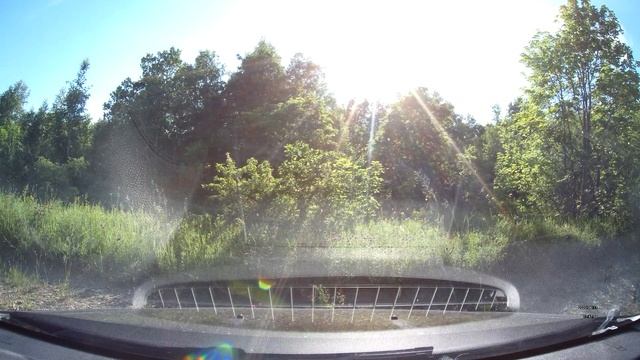 По лесной дороге. Вольский район Саратовская обл. 17 июня 2020 г. смотреть онлайн