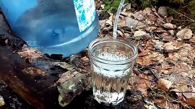 Как течет березовый сок! смотреть онлайн