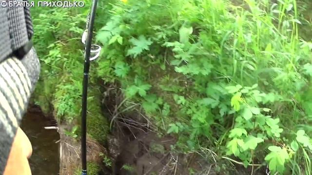 ПОХОД НА ТАЕЖНУЮ РЕКУ ЗА ХАРИУСОМ / РЫБАЛКА 2020 смотреть онлайн