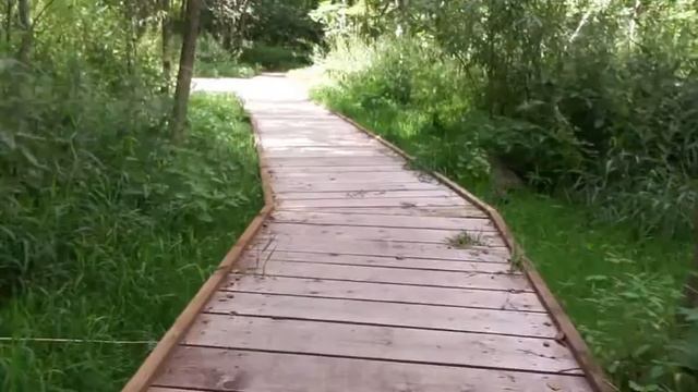 Путешествие и история .Опять мы в гостях у лебедей... смотреть онлайн