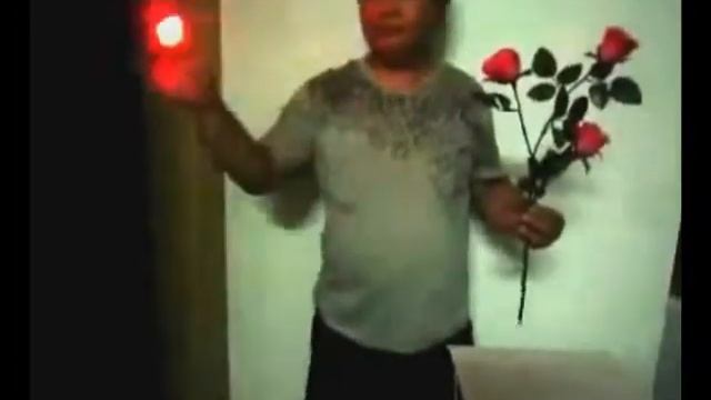 Light Rose Queen. Светящаяся роза смотреть онлайн