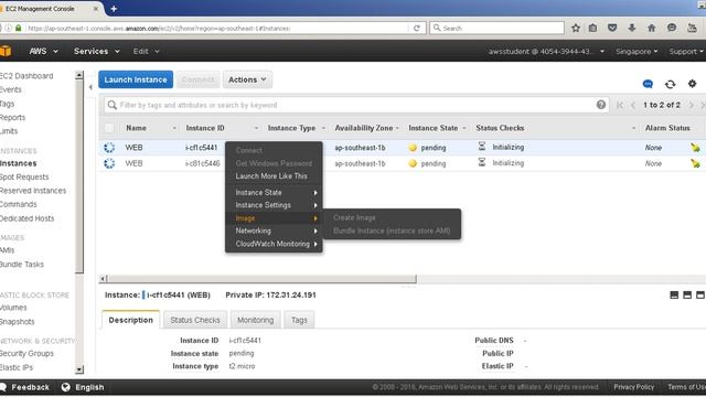 How to Setup Amazon Web Services EC2 Instance with Apache, PHP, MySQL Create Image Snapshot смотреть онлайн