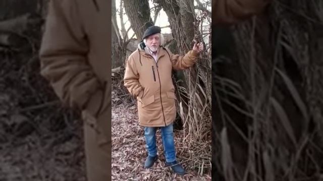 Андреев Владимир, 69 лет, Е. Баратынский 'Запустение' смотреть онлайн