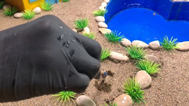 DIY Tractor Farm Diorama With House For Cow | How Plant Strawberry Fields |  Water Pump - Goat Barn