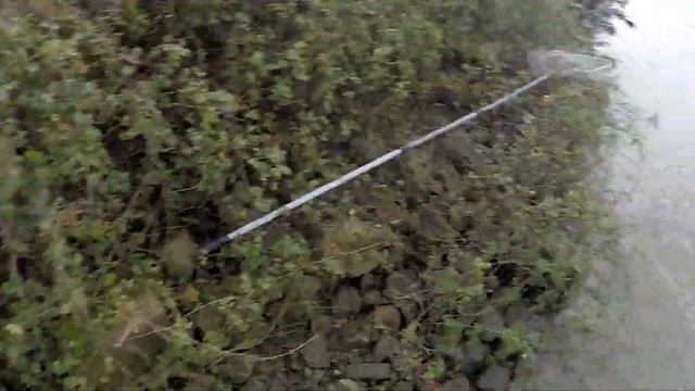 Трудовой " Клыкастик " смотреть онлайн