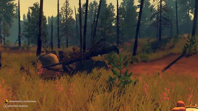 Firewatch ПРОХОЖДЕНИЕ - ЧЕРЕПАХА #2