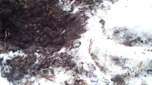 Коп#1 с металлоискателем BOUNTY HUNTER TRACKER IV смотреть онлайн