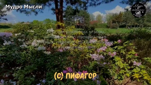 Пифагор, Очень Мудрые Цитаты которые научат Вас быть мудрее! Цитаты и Афоризмы