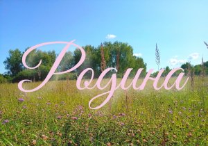 РОДИНА.