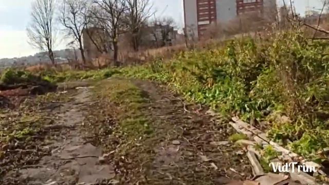 Как было 1 год назад как стало вход в лес\Приятного просмотра смотреть онлайн