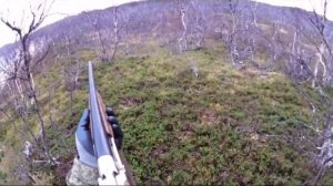 Охота на куропатку. Кольский полуостров.