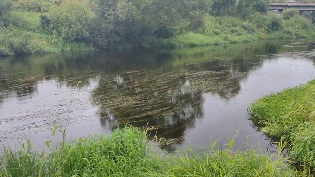 Родник смотреть онлайн