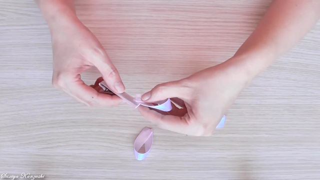 The Decoration On The Hairpin / Easter Bunny