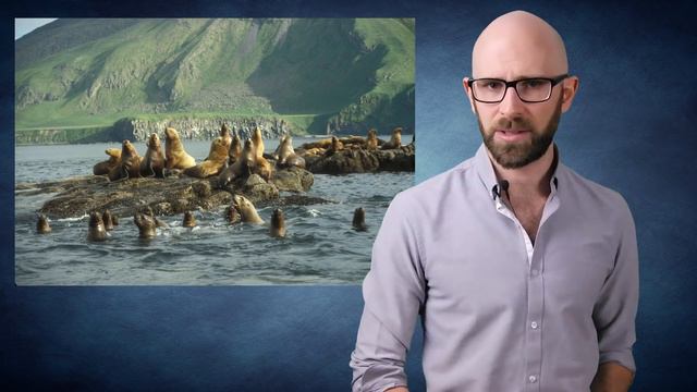 Top 10 ANIMALS That Are No Longer ENDANGERED смотреть онлайн