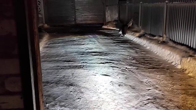 Билинзы в птф Калина ближний/дальний смотреть онлайн