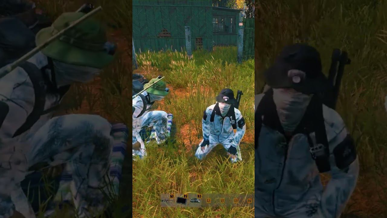 Чирик-чирик  #stalkerrp #stalker #dayzstalkerrp