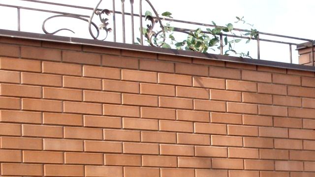 Красивый забор из красного кирпича с кованым верхом, ковка на верху забора из кирпича смотреть онлайн